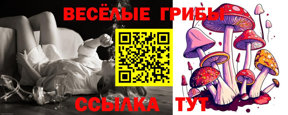 Галлюциногенные грибы Psilocybine cubensis Подольск